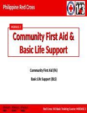basic life support ppt philippines|Philippine Red Cross First Aid Training Module .